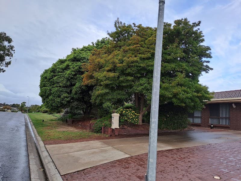 LEEZ TREES - Arborist Tree Pruning & Removal Service tree services work in Craigmore