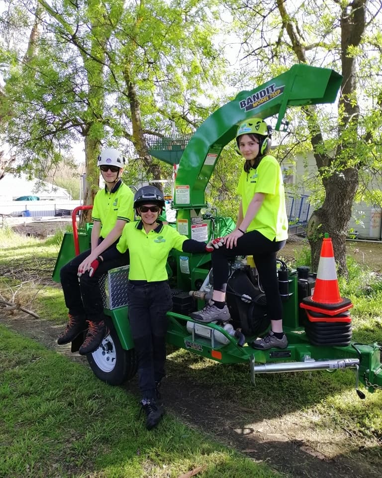 LEEZ TREES - Arborist Tree Pruning & Removal Service tree services work in Craigmore