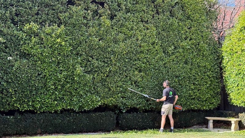 Legendary Landscaping Australia - Lawn Mowing, Gardening, Landscaping lawn care work in Beaumaris