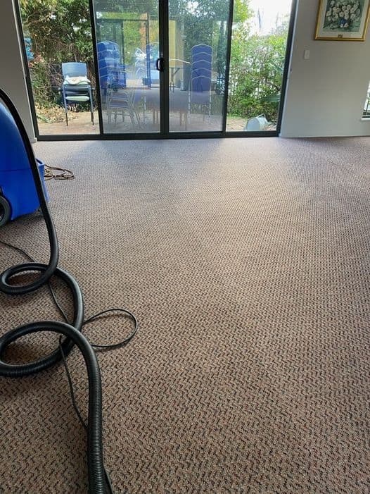 Licence to Clean carpet cleaning work in Currans Hill