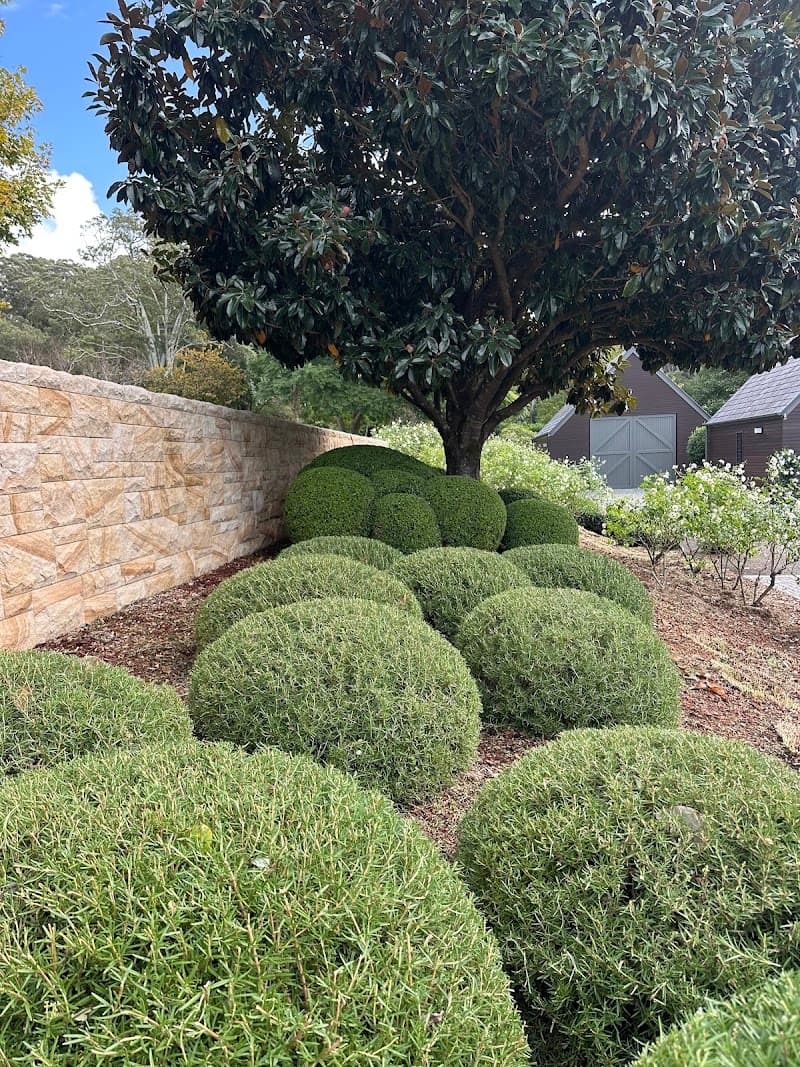Life Cycle Gardening gardening work in North Avoca