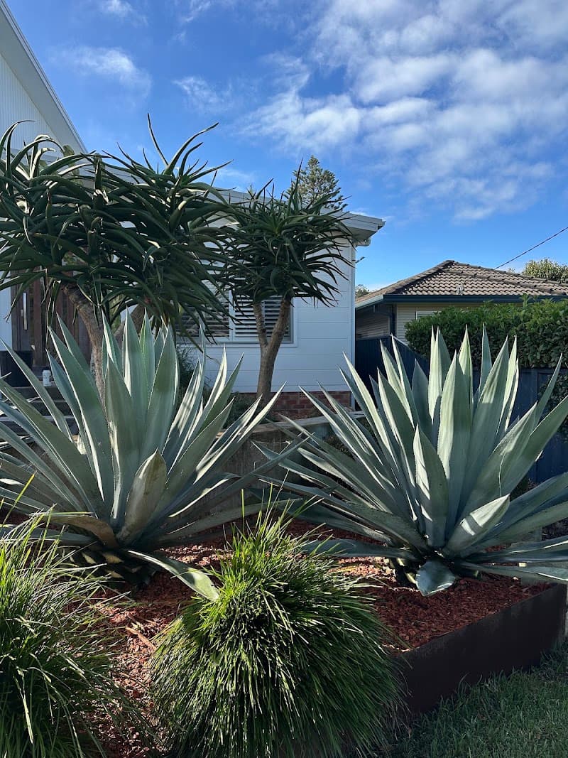 Life Cycle Gardening gardening work in North Avoca