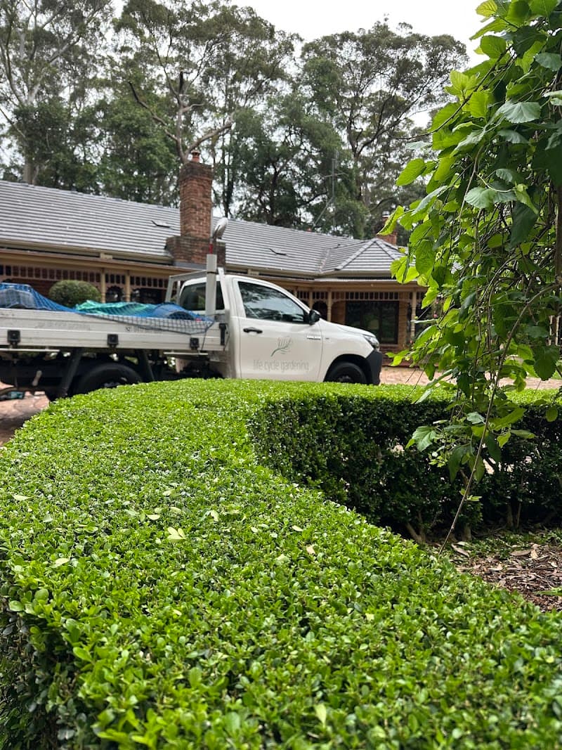 Life Cycle Gardening gardening work in North Avoca