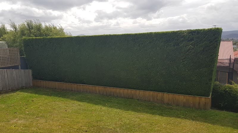 Lifestyle Garden Maintenance gardening work in Lindisfarne