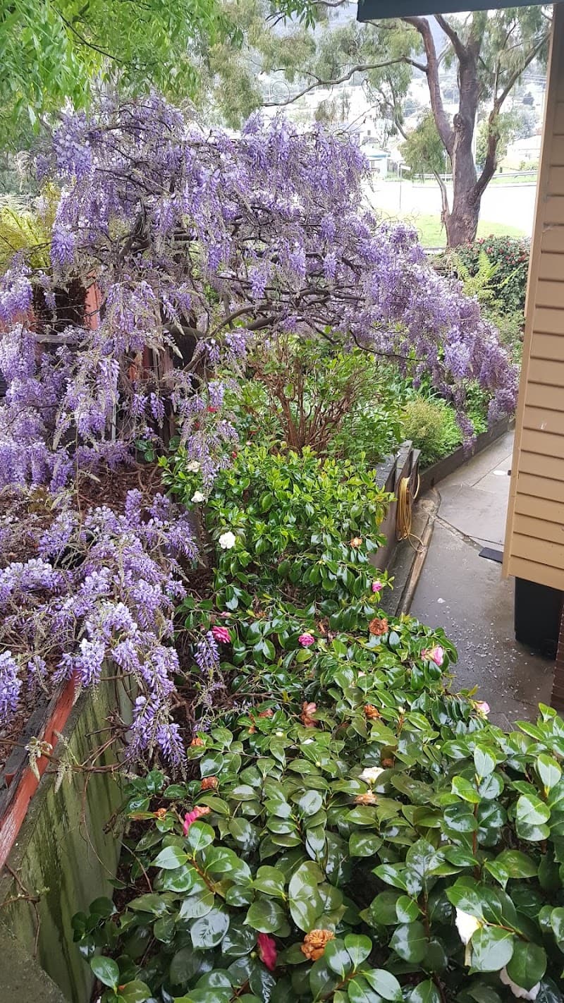 Lifestyle Garden Maintenance gardening work in Lindisfarne