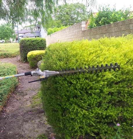 Lifestyle Tree Services tree services work in Wanneroo