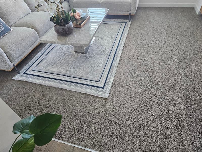 Lightning Mclean carpet cleaning work in Merrylands