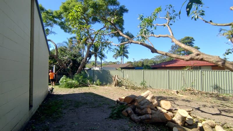 Limb-it-Less Tree Services landscaping work in Korora