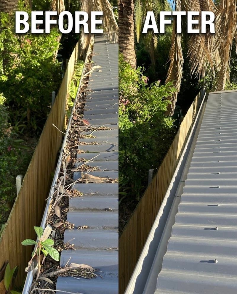 Lion Gutter Cleaning gutter cleaning work in Berala