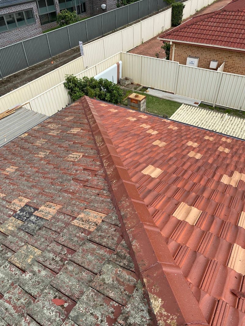 Lion Gutter Cleaning gutter cleaning work in Berala