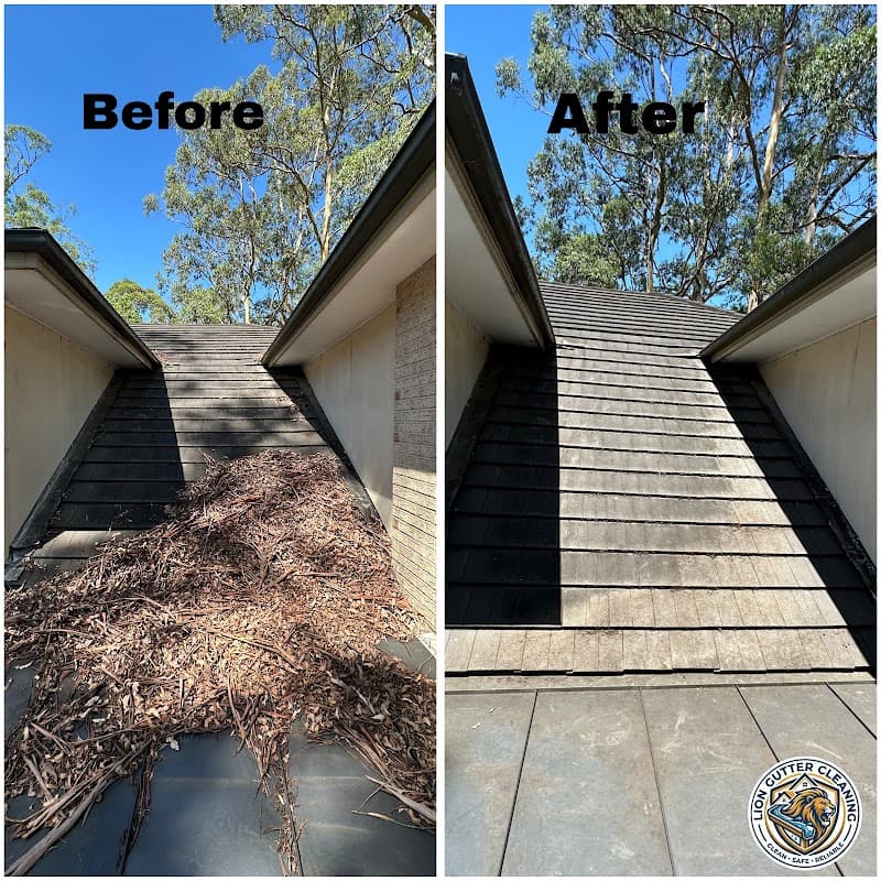 Lion Gutter Cleaning gutter cleaning work in Berala