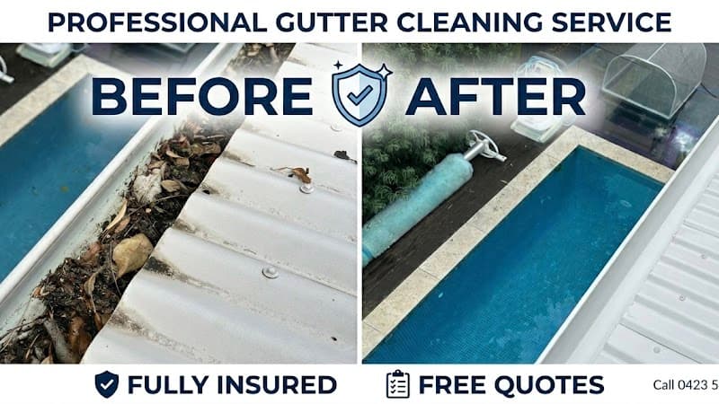 Lion Gutter Cleaning gutter cleaning work in Berala