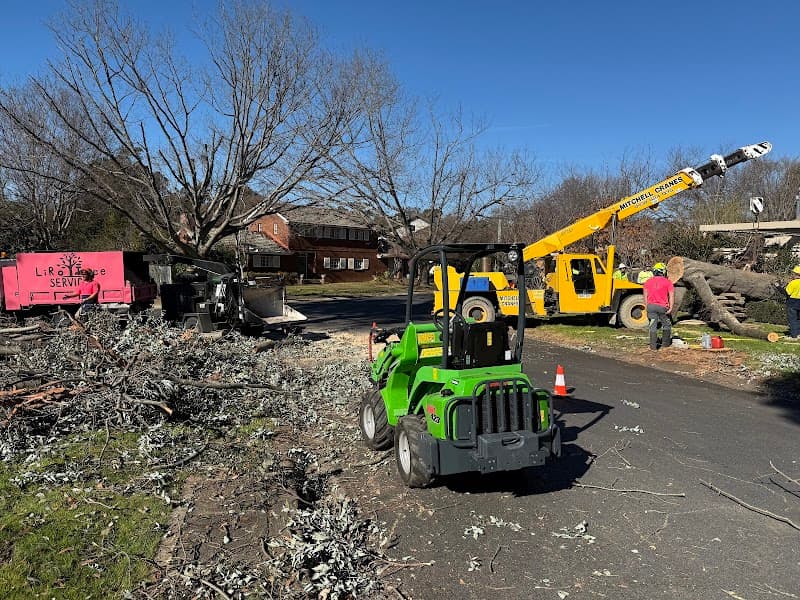 LiRo Tree Services Canberra tree services work in Lyneham