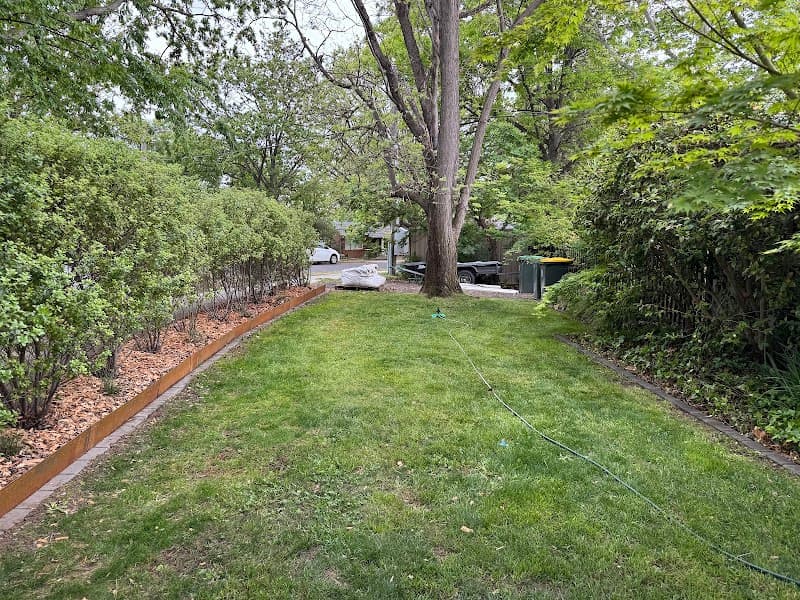 LiRo Tree Services Canberra tree services work in Lyneham