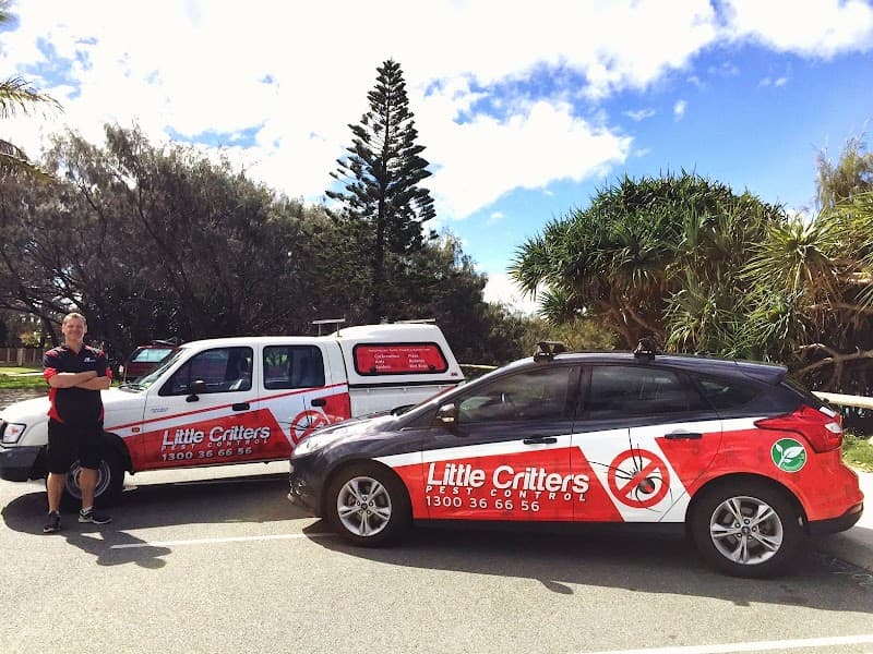 Little Critters Pest Control & Termite Management Specialists pest control work in Mountain Creek