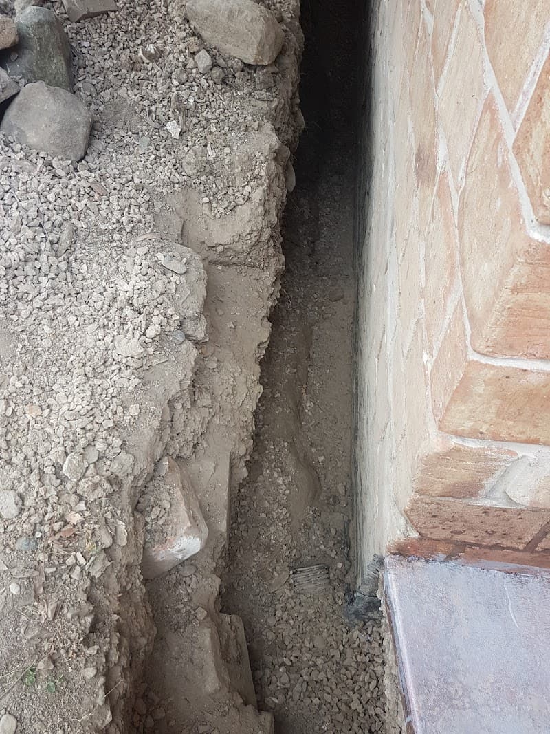 Little Critters Pest Control & Termite Management Specialists pest control work in Mountain Creek
