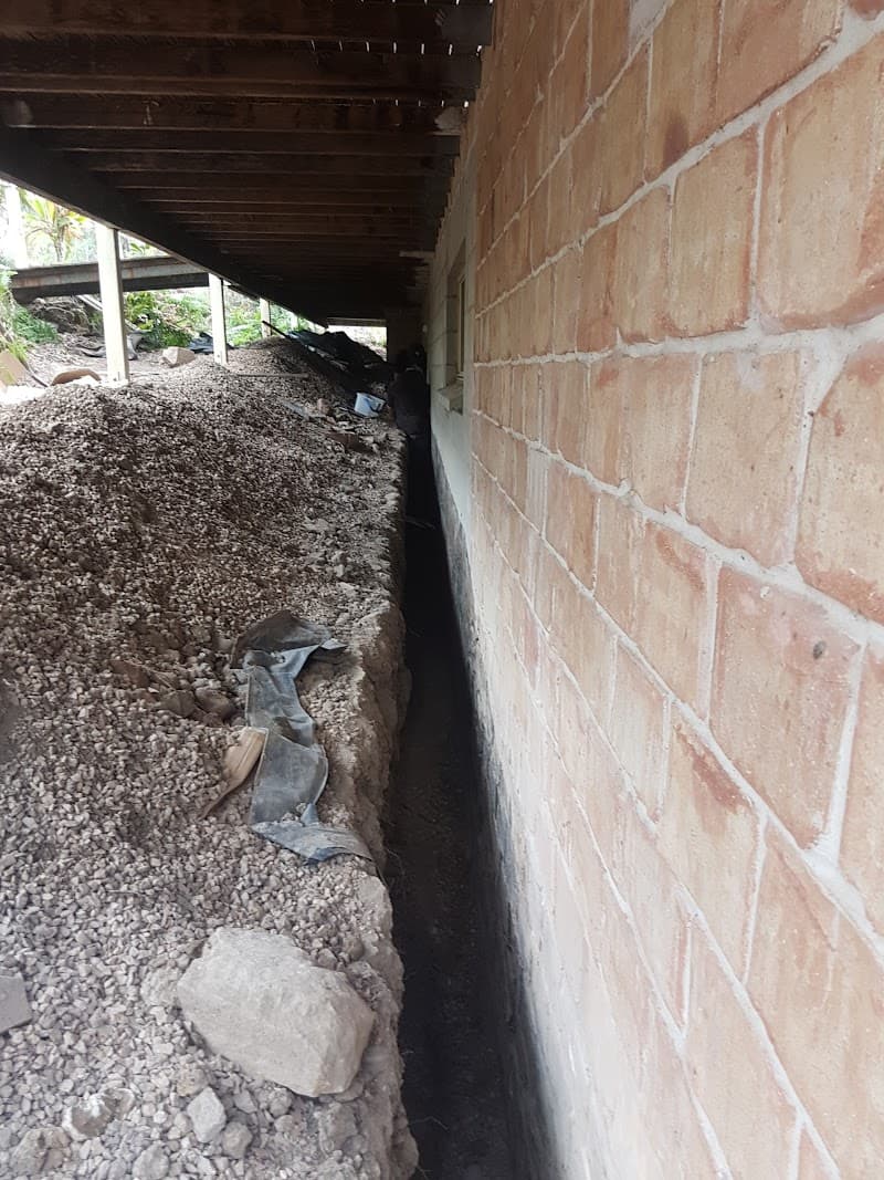 Little Critters Pest Control & Termite Management Specialists pest control work in Mountain Creek