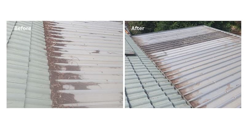 Little Scrubbers Quality Cleaning &Handyman Services cleaning work in Rockingham