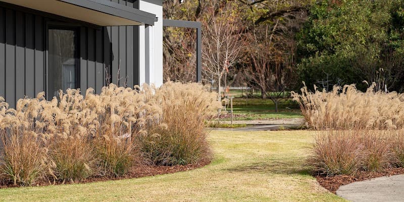 LM Landscaping and Irrigation landscaping work in North Albury