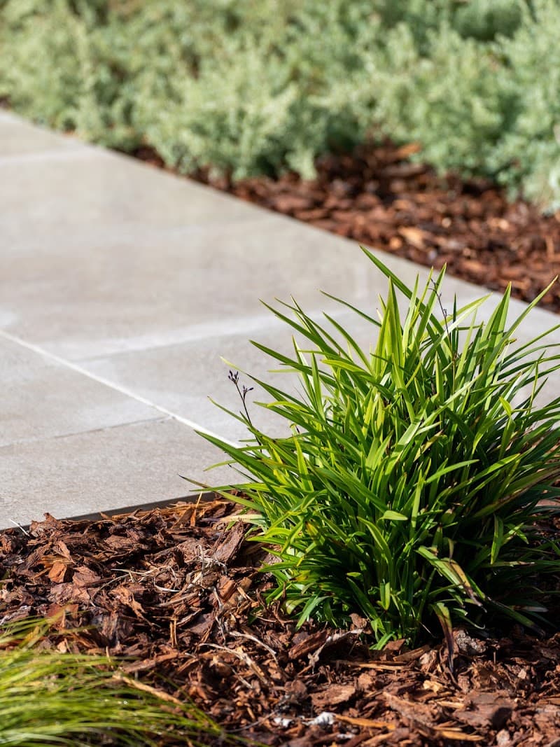 LM Landscaping and Irrigation landscaping work in North Albury