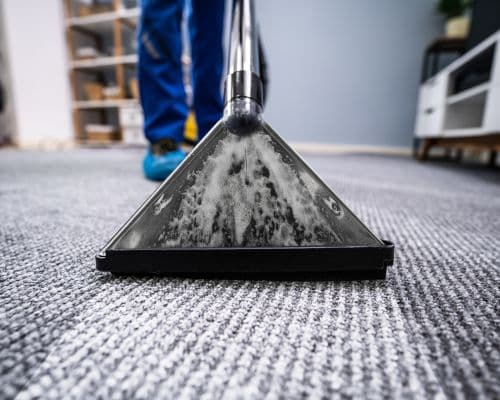 Localz Cleaning Services carpet cleaning work in Jesmond