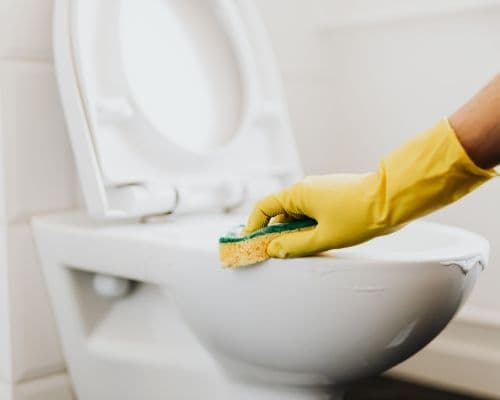 Localz Cleaning Services carpet cleaning work in Jesmond
