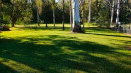 Logan Lawn Mowing & Garden Care