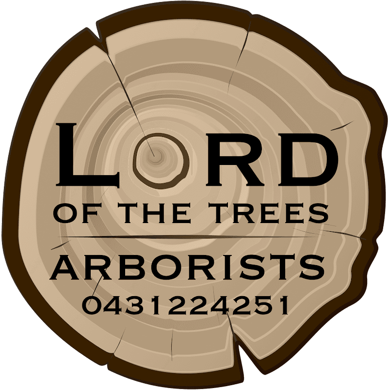 Lord of the trees NSW tree services work in Waverley