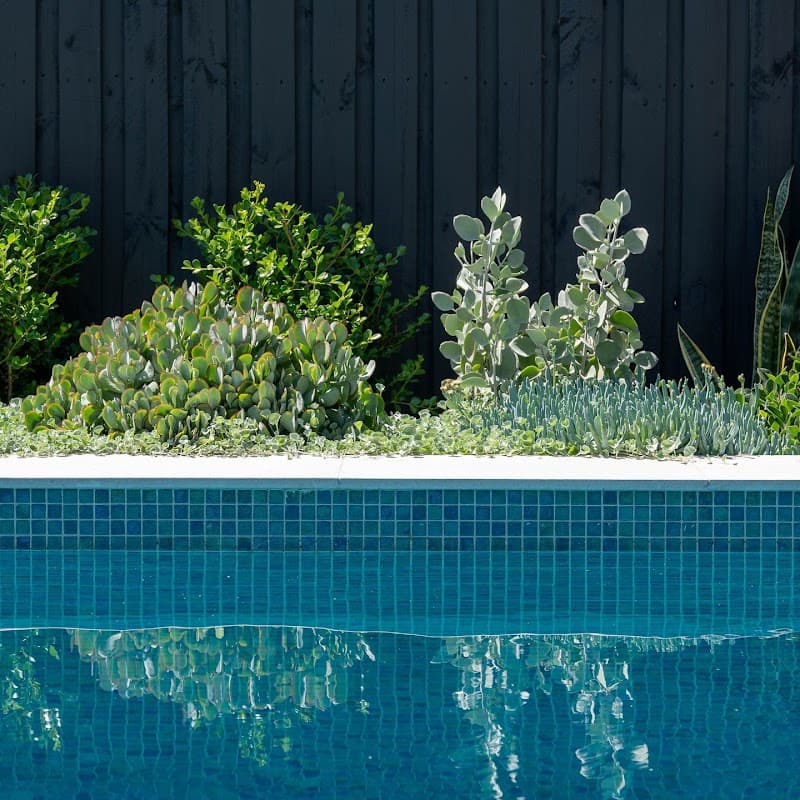 Love Landscapes Sydney landscaping work in Lane Cove