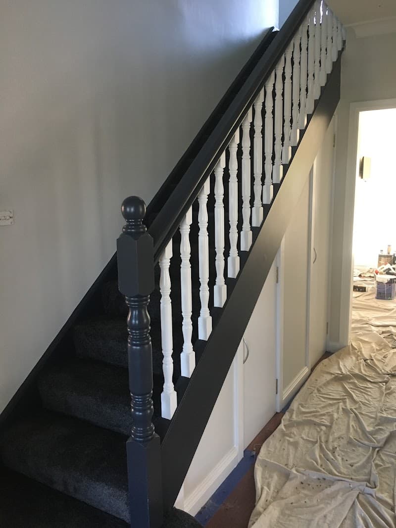 Lower Mountains Painting painter work in Blaxland