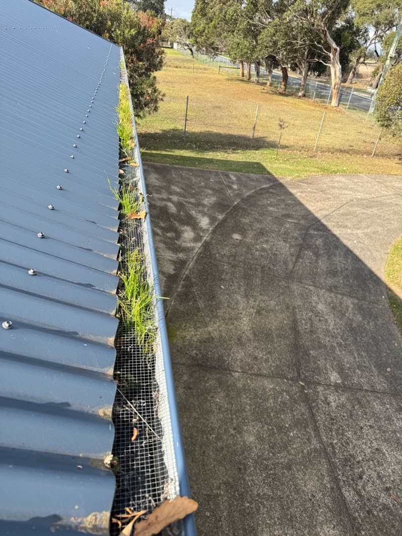 Lowvac gutter cleaning work in Cranbourne