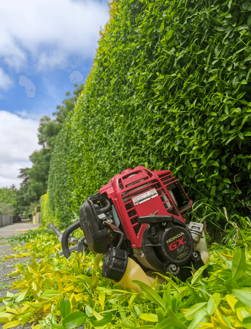 LUCAS LAWNS, Ballarat gardening work in Alfredton