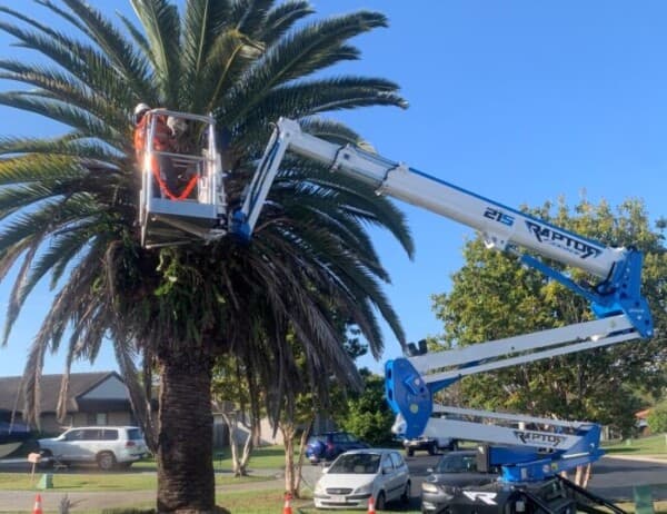 Lumberjack QLD Pty Ltd tree services work in Caboolture