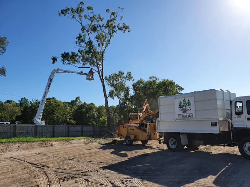 Lumberjack QLD Pty Ltd tree services work in Caboolture