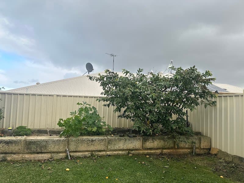 Lumberjacks WA tree services work in Malaga