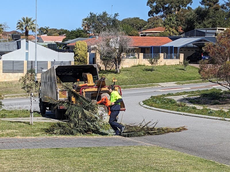 Lumberjacks WA tree services work in Malaga