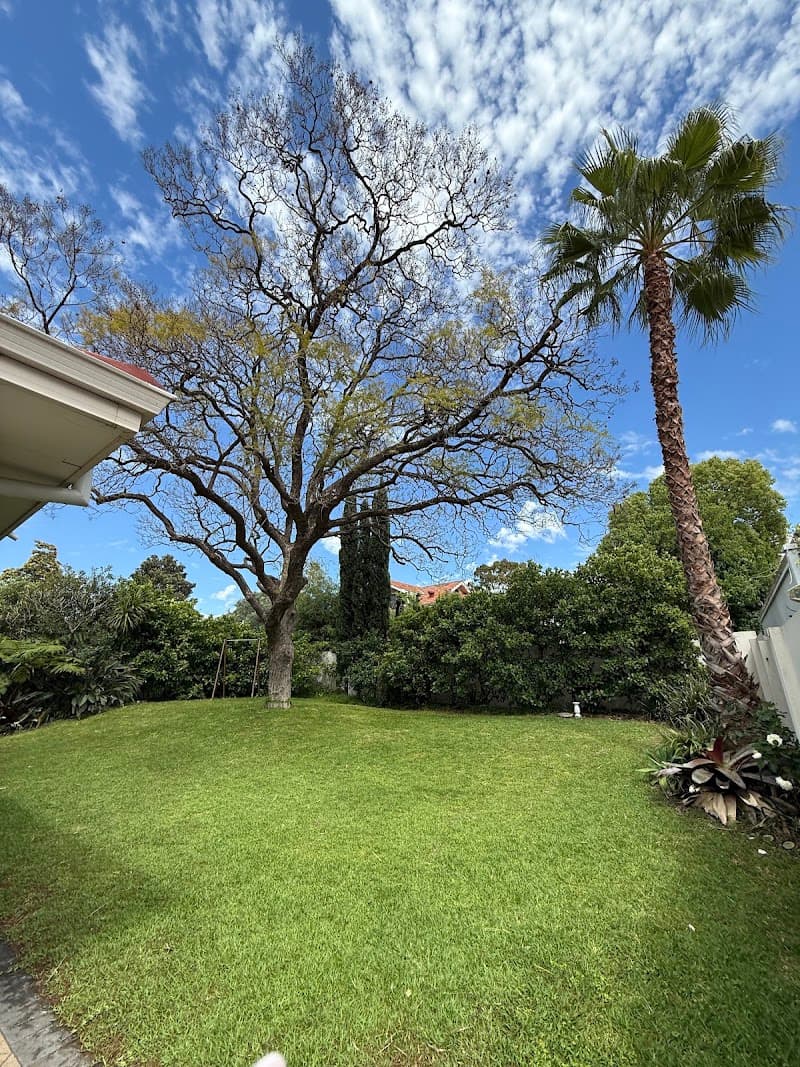 Lumberjacks WA tree services work in Malaga