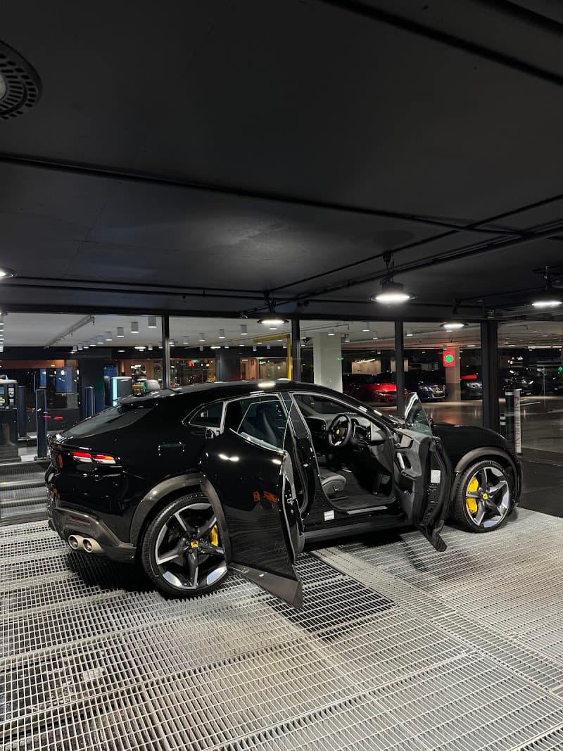 Luna Car Care car detailing work in Newstead
