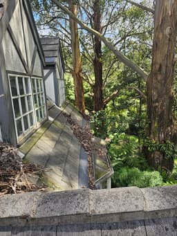 Luna Gutter Cleaning & Roof Maintenance