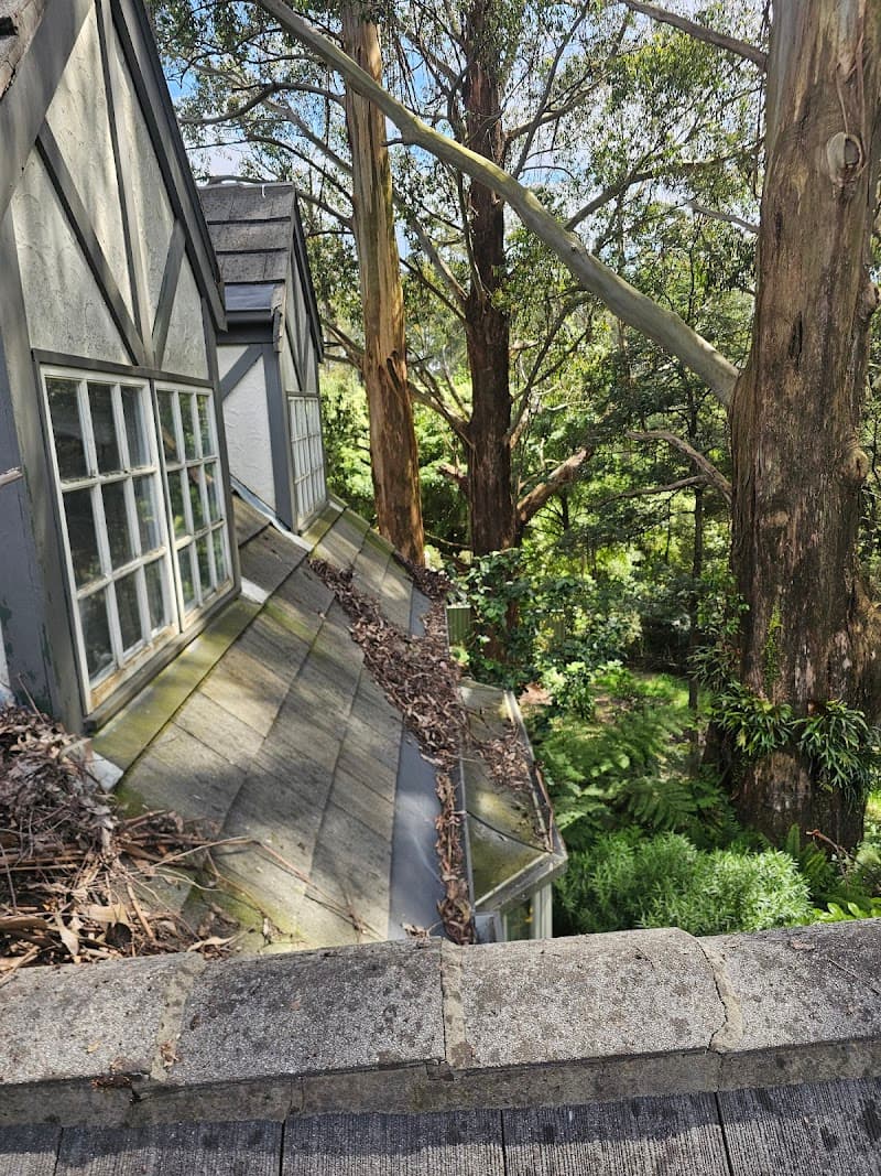 Luna Gutter Cleaning & Roof Maintenance gutter cleaning work in Belgrave