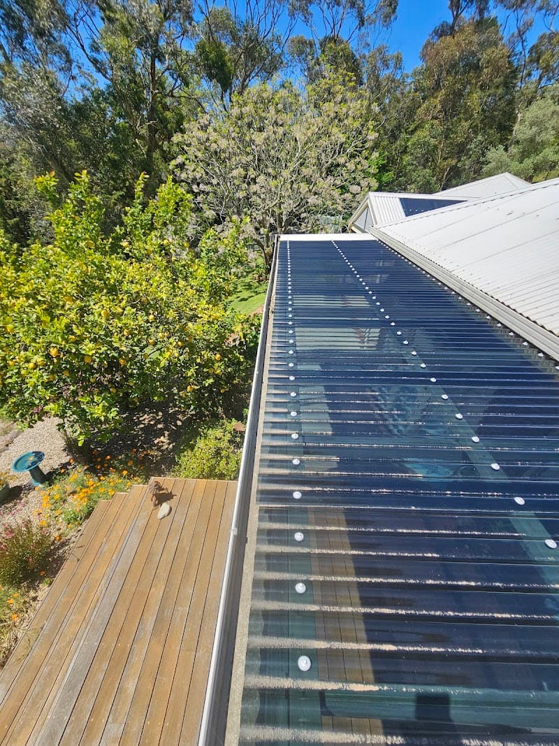 Luna Gutter Cleaning & Roof Maintenance gutter cleaning work in Belgrave