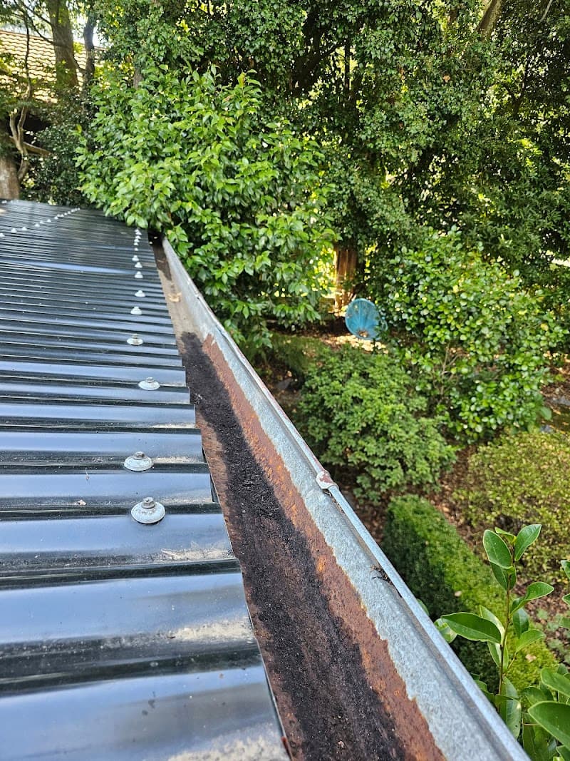Luna Gutter Cleaning & Roof Maintenance gutter cleaning work in Belgrave