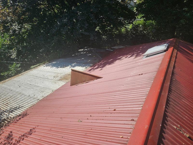 Luna Gutter Cleaning & Roof Maintenance gutter cleaning work in Belgrave