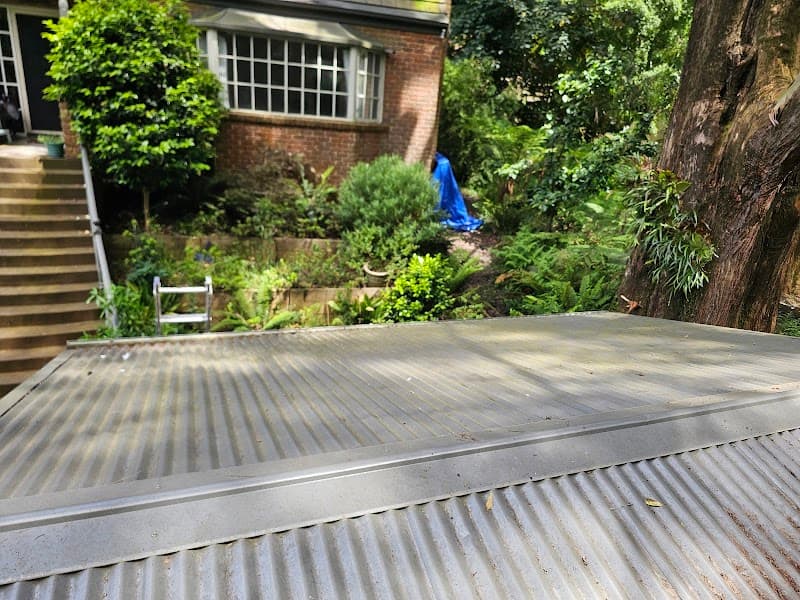Luna Gutter Cleaning & Roof Maintenance gutter cleaning work in Belgrave