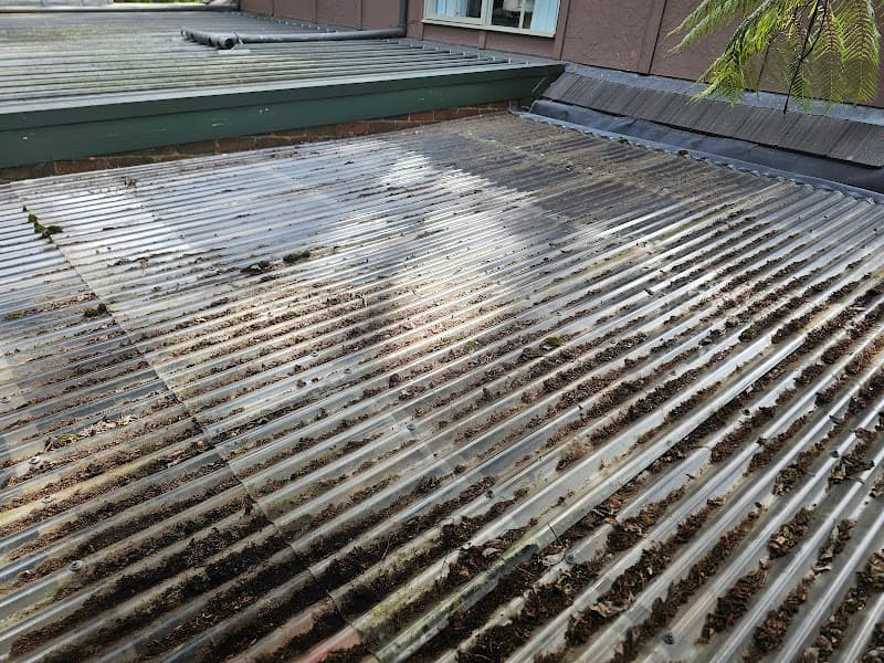 Luna Gutter Cleaning & Roof Maintenance gutter cleaning work in Belgrave