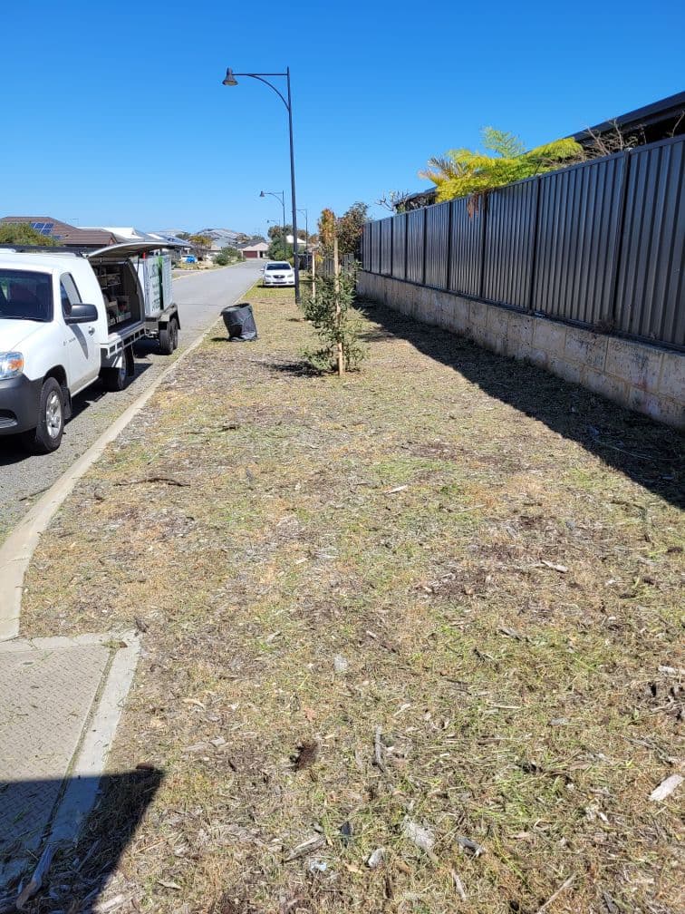 Luscious Lawns and Gardens landscaping work in Waikiki
