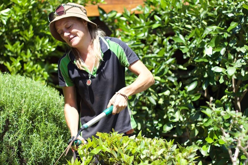 Lush Gardens by Erinn Louise landscaping work in Port Macquarie