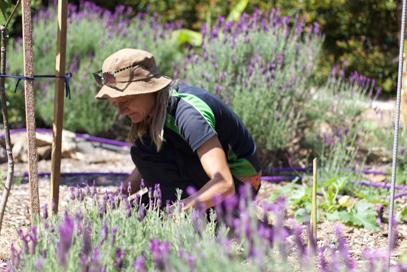 Lush Gardens by Erinn Louise landscaping work in Port Macquarie