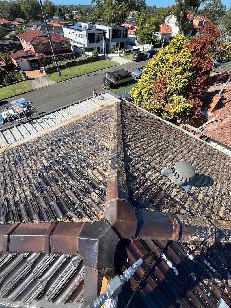 Lush Pressure Washing pressure washing work in Caringbah