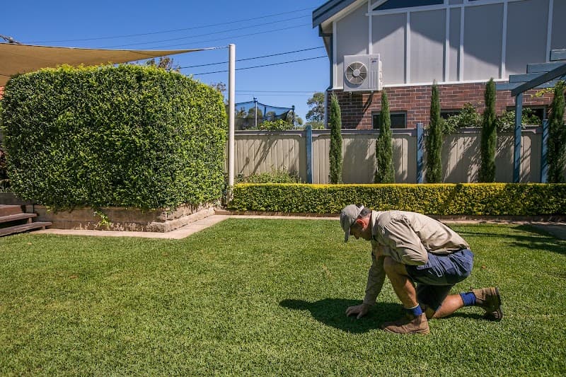 Lushgrow Turf & Horticultural Services gardening work in Cooks Hill